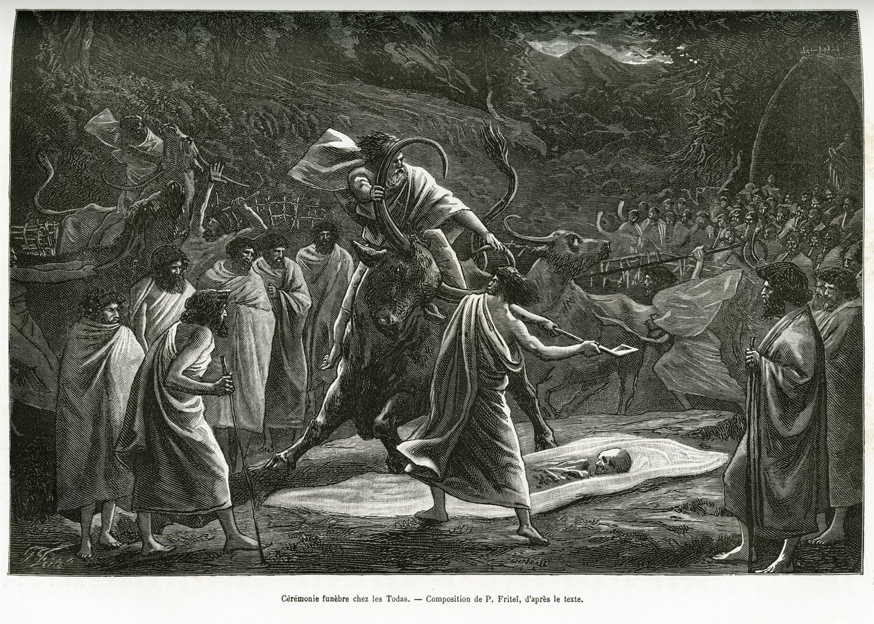 En begravningsceremoni för Todas, ett litet pastoralt samhälle på Nilgiri-platån (Södra Indien), under begravningen offras boskap. Gravyr av P. Fritel, för att illustrera recitens souvenirer från en resa till Nilgherries, av Madame Janssen, i 1 av Pierre Fritel