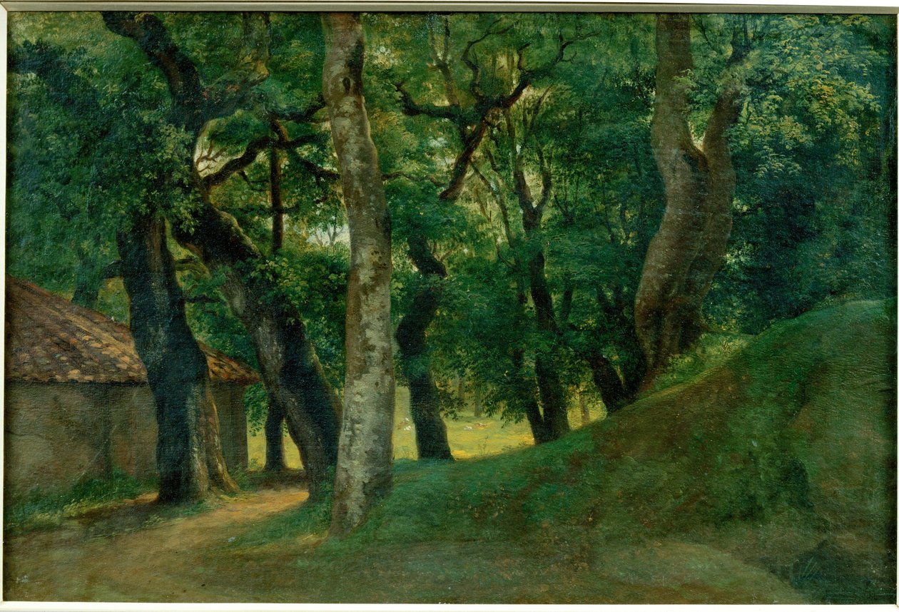 Foret de la Villa Borghese - Skogen vid Villa Borghese ... av Pierre Henri de Valenciennes