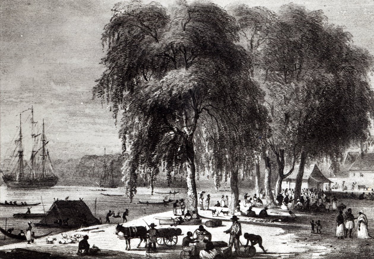 Fiskmarknad, Paramribo, från "Voyage a Surinam" av Pierre J. (after) Benoit