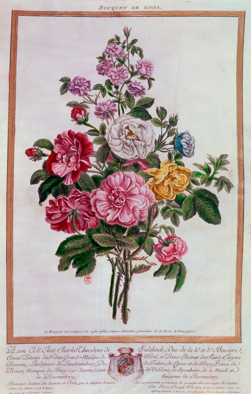 Bukett rosor Litografi av Pierre Joseph Buchoz (1731-1807) 1700-talets Paris, B.N. av Pierre Joseph Buchoz