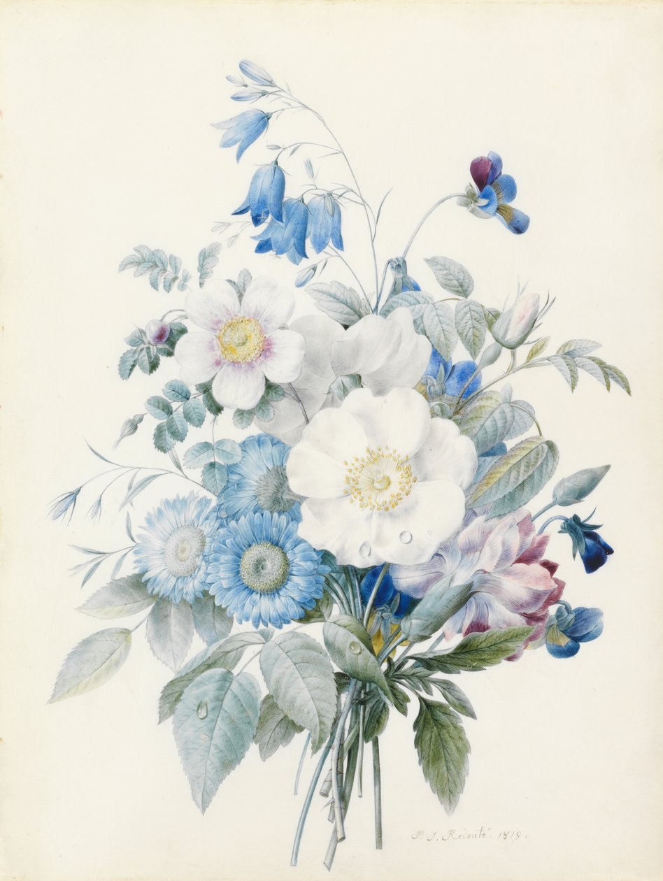 Blå asters, rosa spinosissima (hybrid), harklöver, violer, nejlika och en vildros av Pierre Joseph Redouté