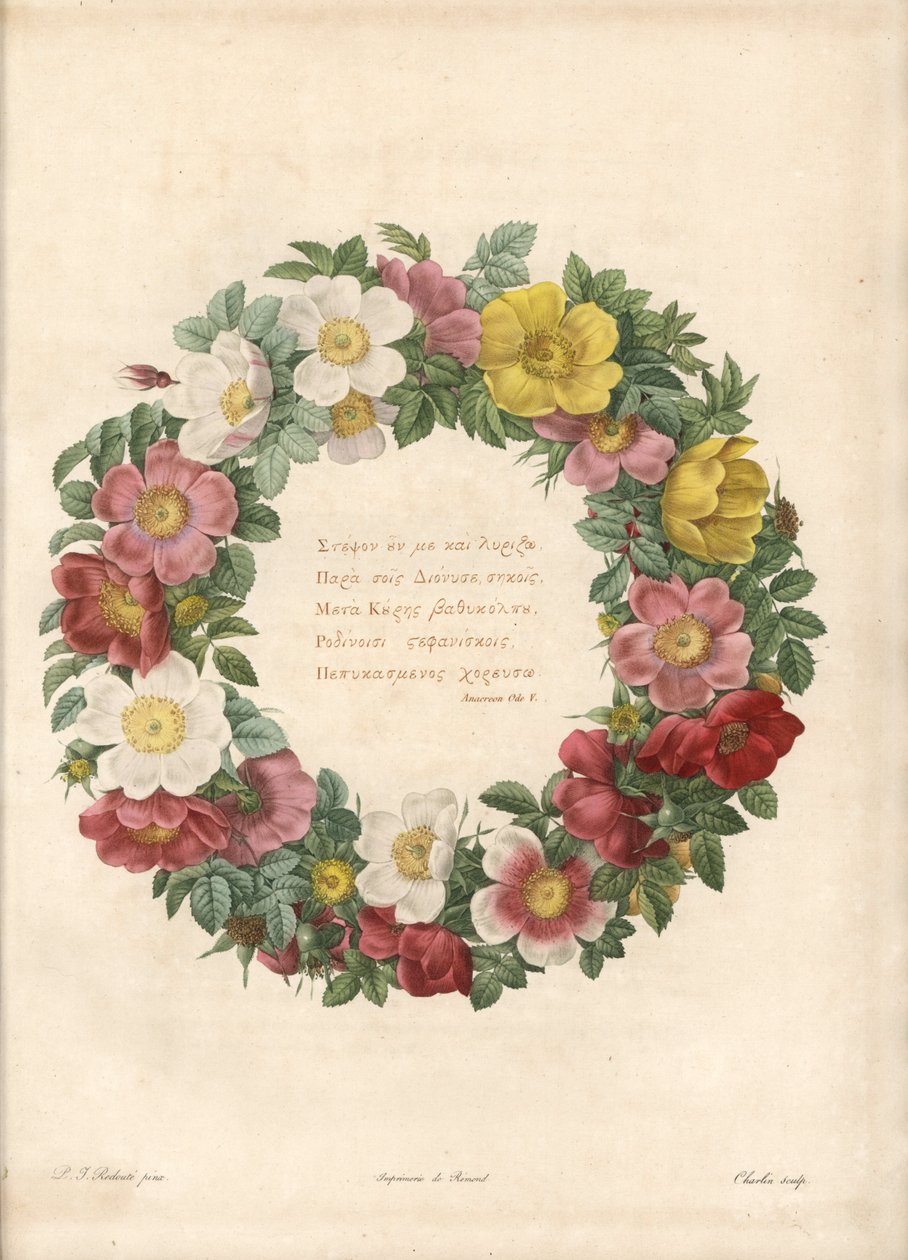 Krona av rosor med ett grekiskt motto - Eau forte av Charlin, efter en illustration av Pierre Joseph Redoute (1759-1840), från Les Roses av Pierre Joseph Redouté