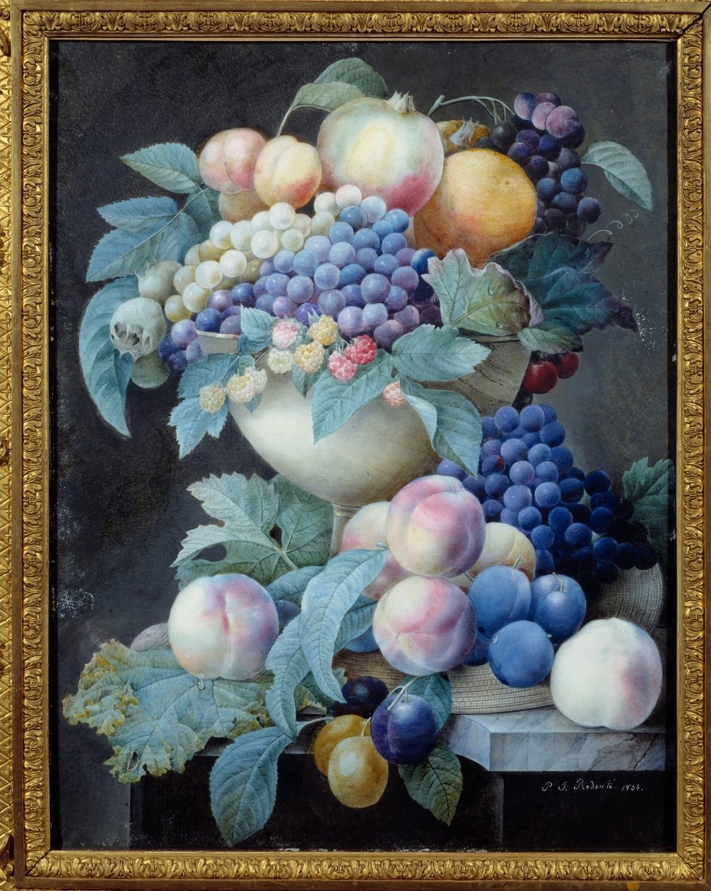 Druvor i en kopp. Målning av Pierre Joseph Redoute (1759-1840) av Pierre Joseph Redouté