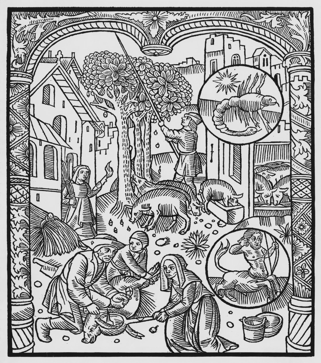 November, slakt av gris och skörd av ekollon, Skorpionen, illustration från "Almanach des Bergers", 1491 (xylografi) av Pierre Le Rouge