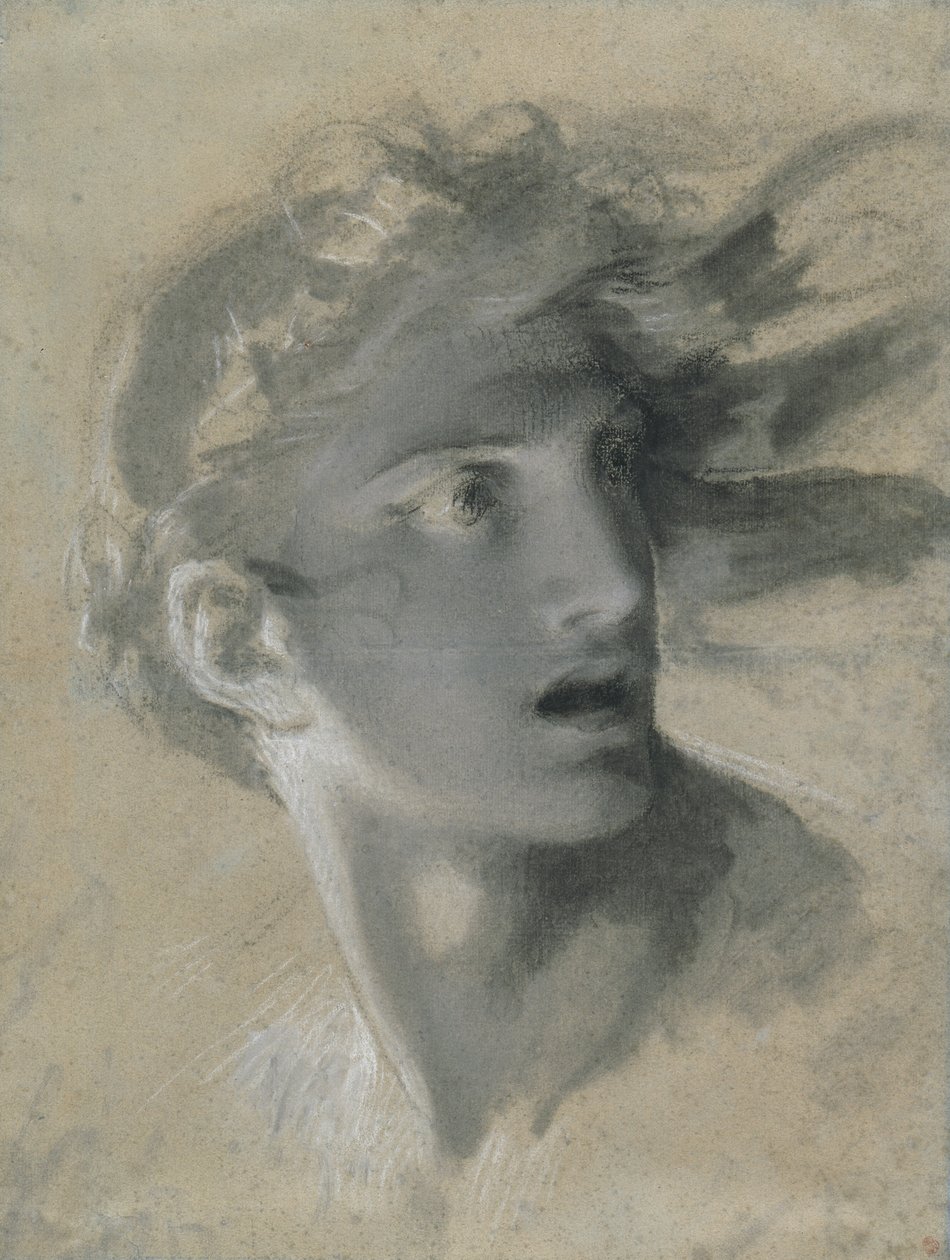 Chef för hämnd av Pierre Paul Prud