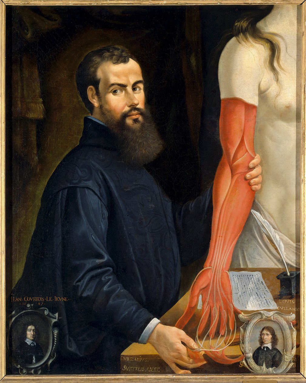 Porträtt av Andre Vesale (Andrea Vesalius eller Andries Van Wesel), anatom och doktor hos Karl V (1514-1564)”” Målning av Pierre Poncet (1574-1640) Sön. 0,96 X 0,77 m Orleans musee des Beaux Arts - Porträtt av Andrea Vasalius (eller Andries Van Wesel) (157 av Pierre Poncet