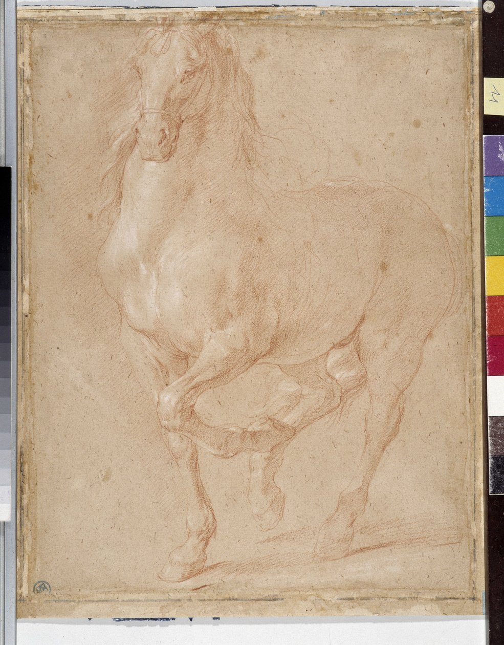 Häststudier (sangvinisk) av Pierre Puget