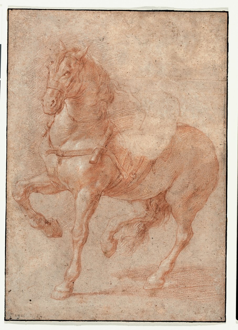 Studie av Bucephalus för reliefen "Alexander och Diogenes" av Pierre Puget