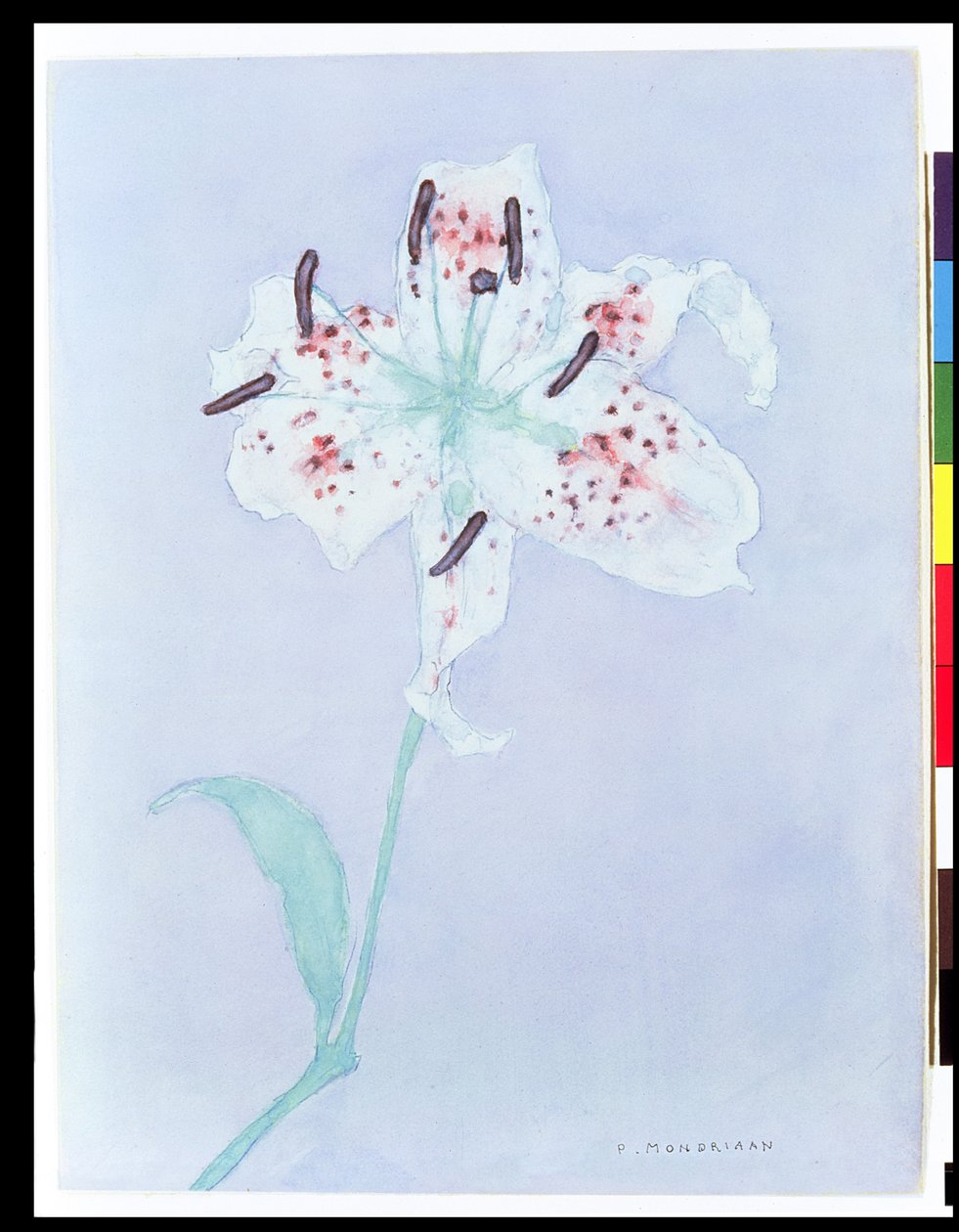 Lily, efter 1921 (akvarell och penna) av Piet Mondrian