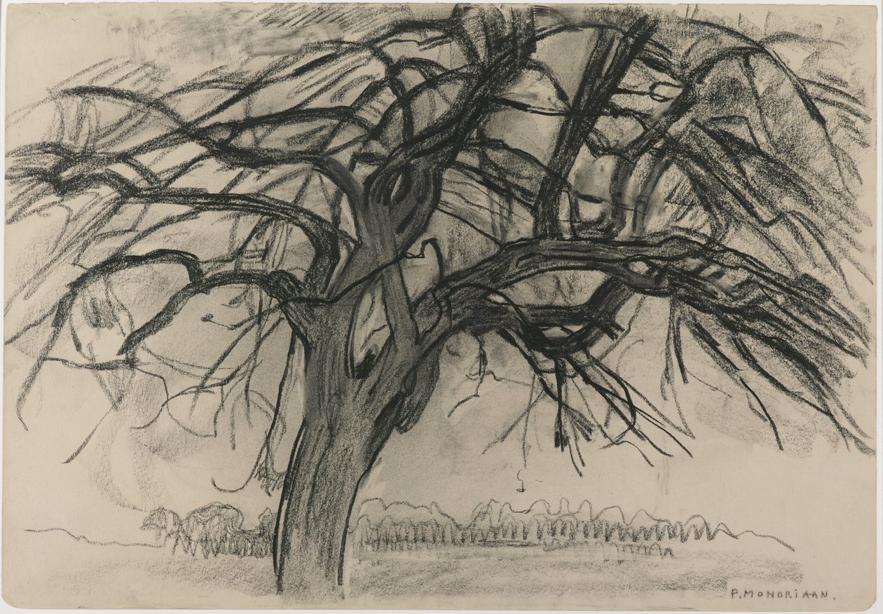 Preliminär studie för kvällen: Det röda trädet, 1908 (svart krita och kol på papper) av Piet Mondrian