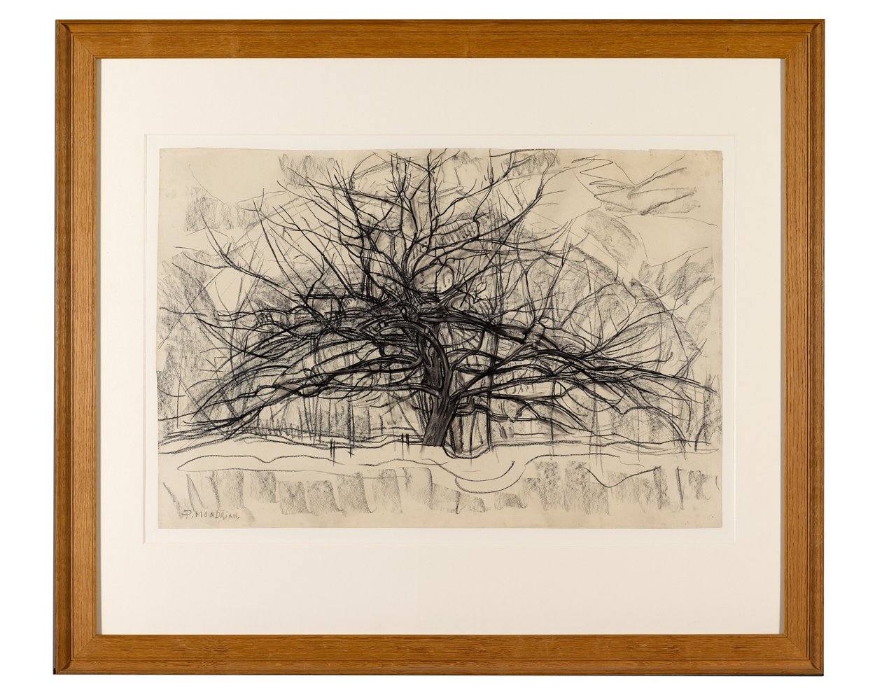 Studie för The Grey Tree, 1911 (svart krita på papper) av Piet Mondrian