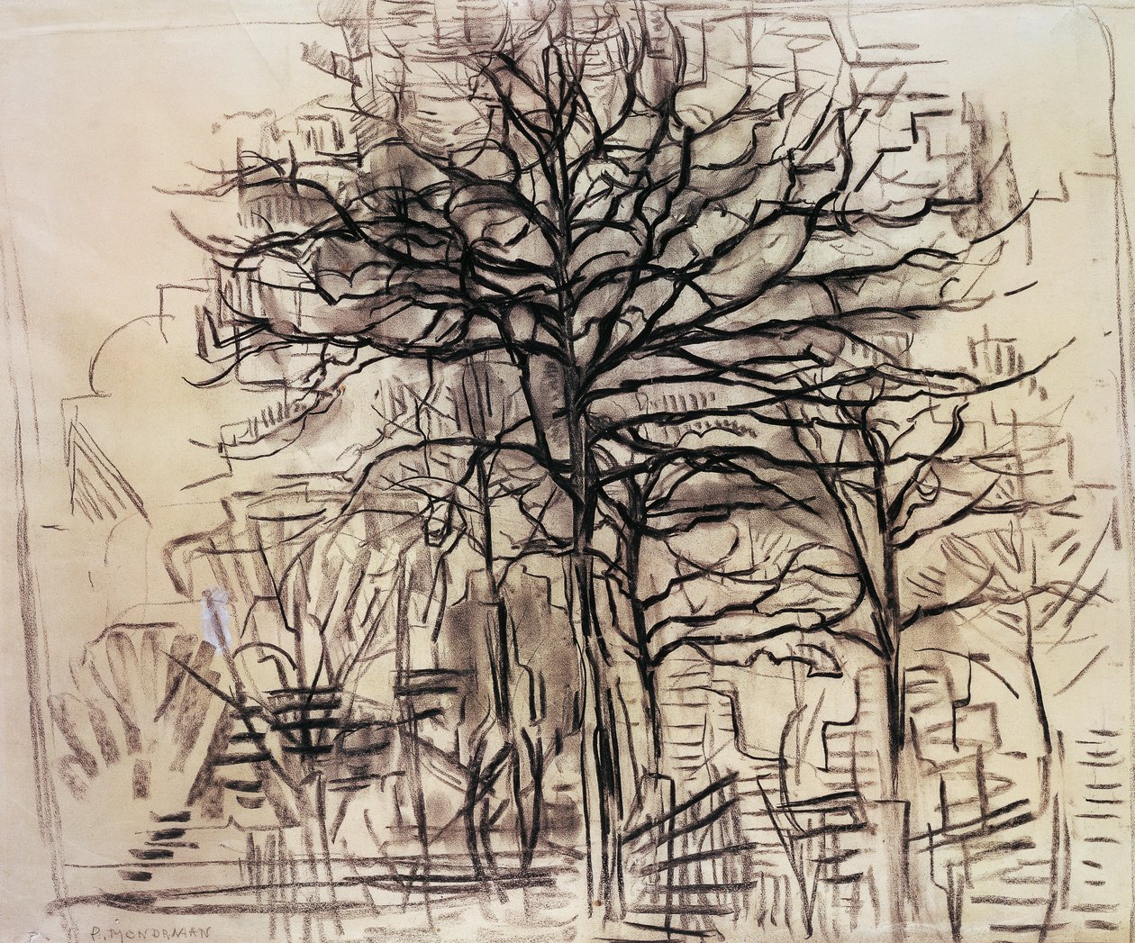 Studie av träd, av Piet Mondrian (1872-1944), teckning av kol och blyvitt. Nederländerna, 1900-talet. av Piet Mondrian
