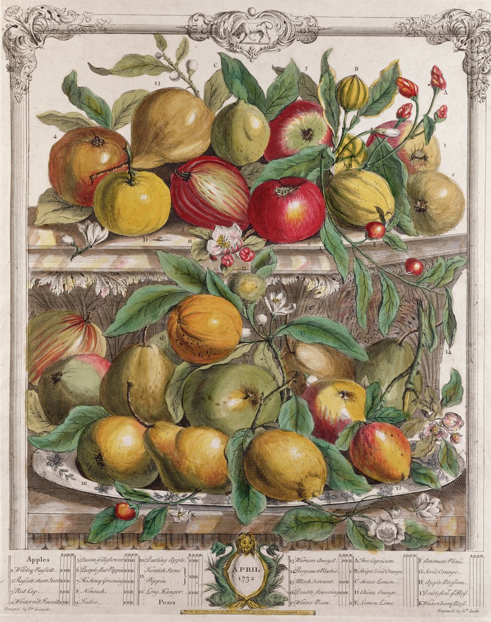 April, från "Twelve Months of Fruits", av Robert Furber (ca 1674-1756), graverad av J. Clark, 1732. av Pieter Casteels