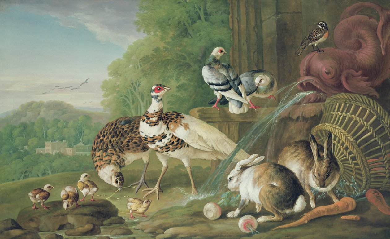 Fåglar och kaniner av Pieter Casteels