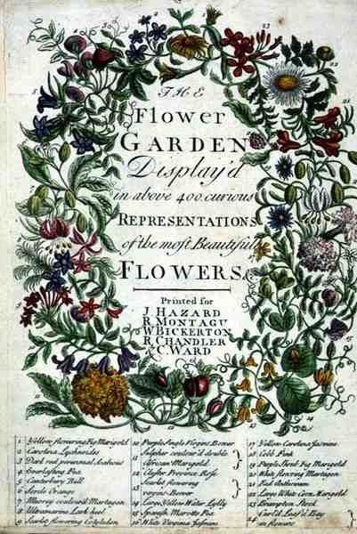 Frontispice till "The Flower Garden Displayed" av Robert Furber (ca 1674-1756), graverad av James Smith, pub. 1732 (färgat gravyr) av Pieter (after) Casteels