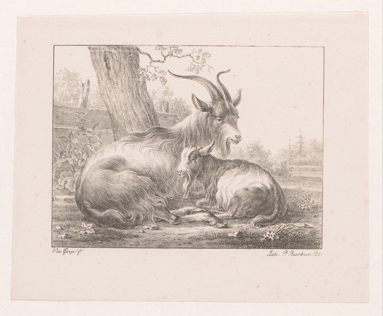 Get och get i landskap av Pieter Bartholomeusz. Barbiers