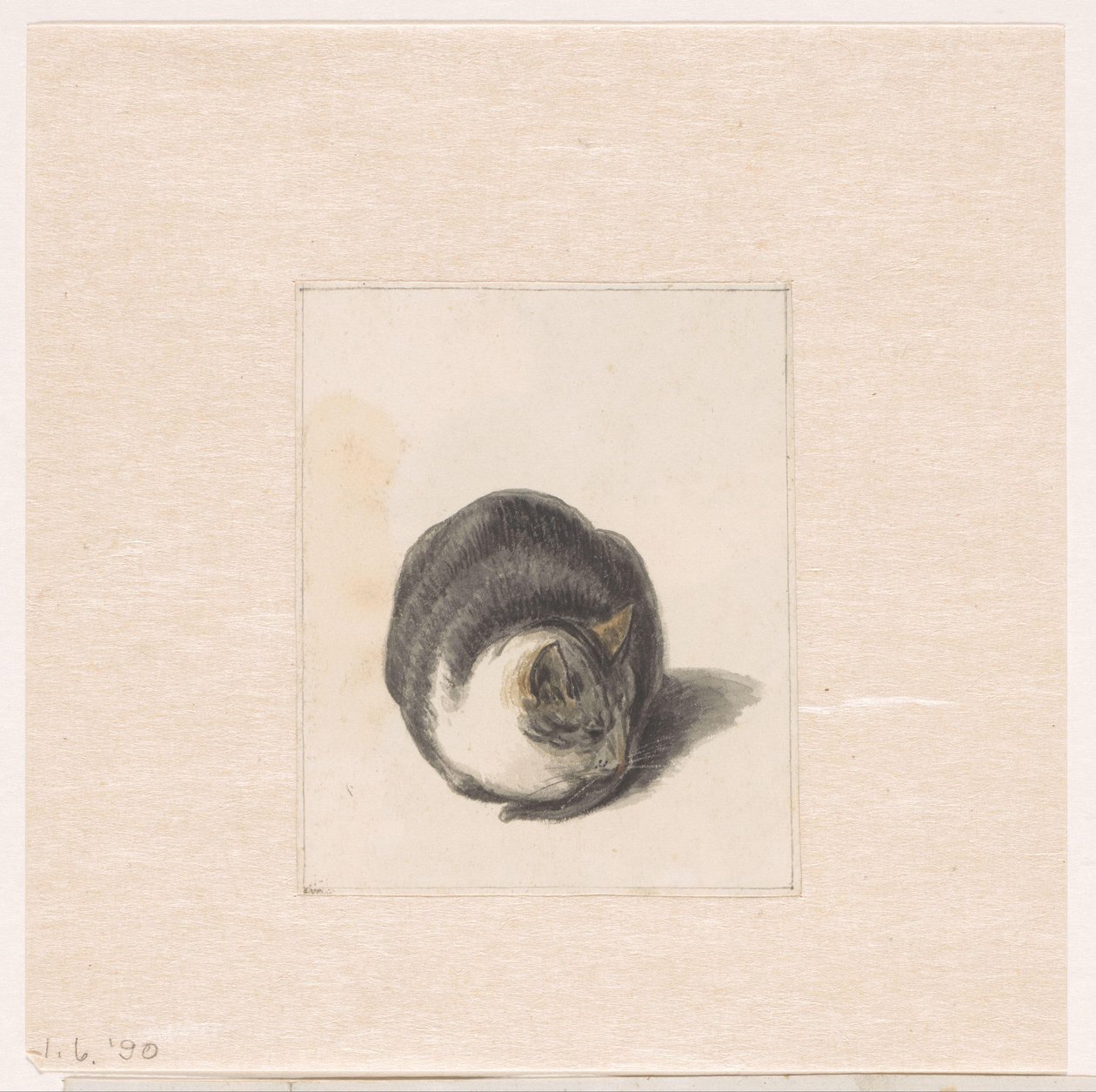 Sittande katt, sedd framifrån av Pieter Bartholomeusz. Barbiers