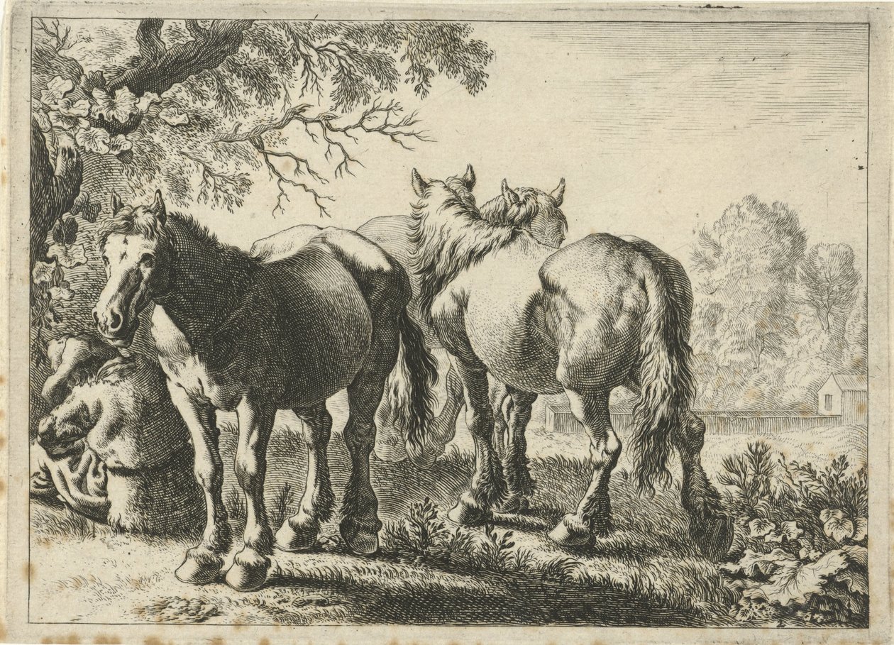 Tre hästar och en bonde Olika djur (serietitel) av Pieter Bodding van Laer