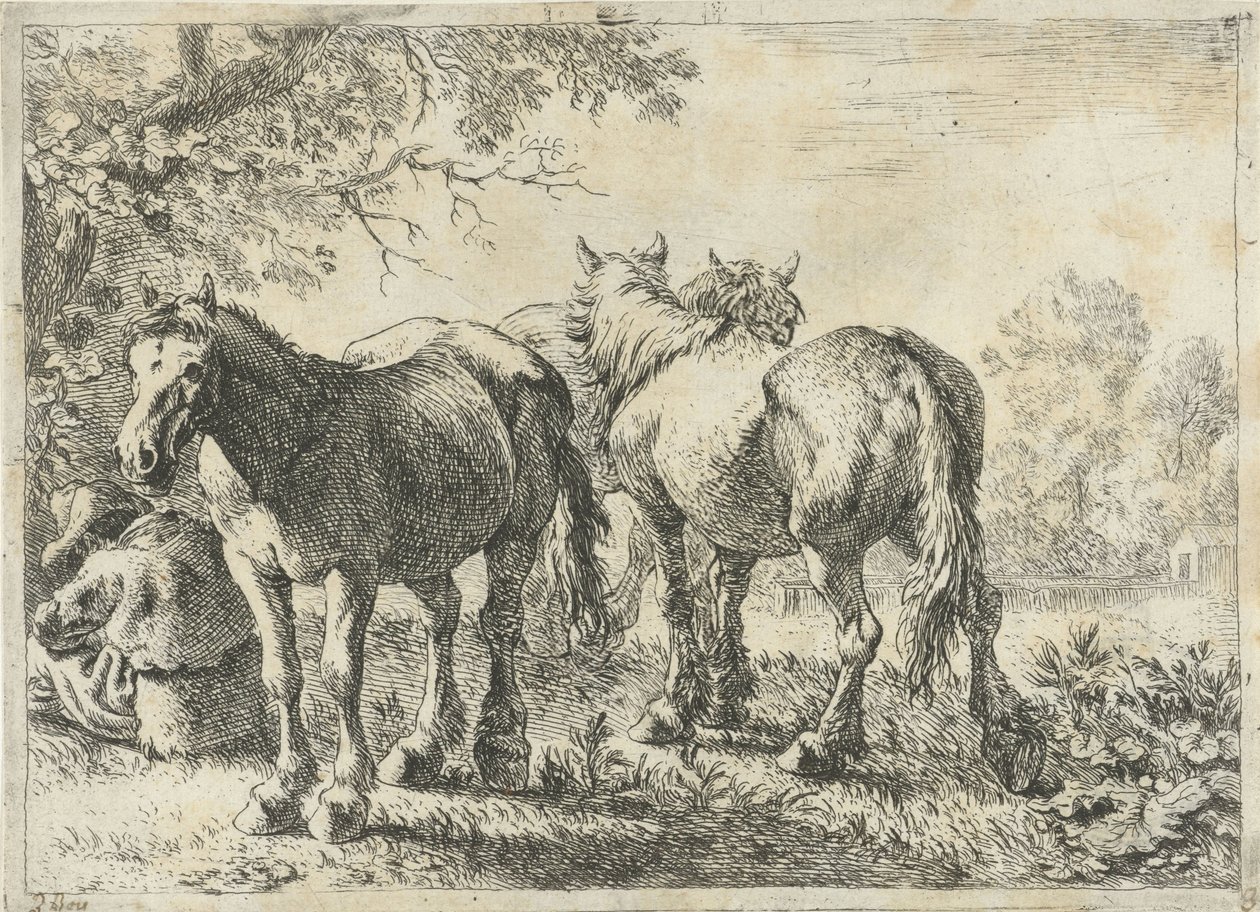 Tre hästar och en bonde Olika djur (serietitel) av Pieter Bodding van Laer