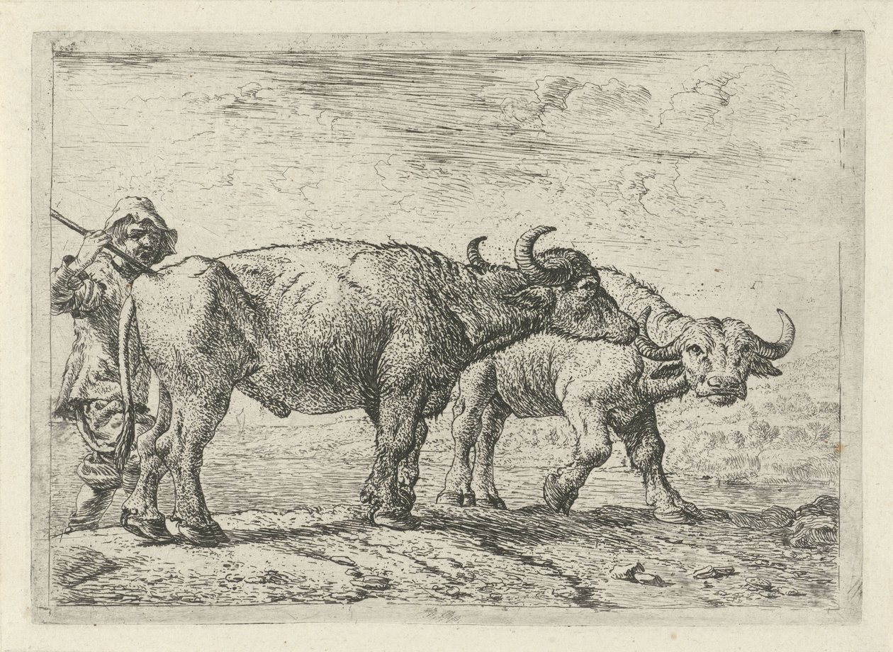 Två bufflar och en herde Olika djur (serietitel) av Pieter Bodding van Laer