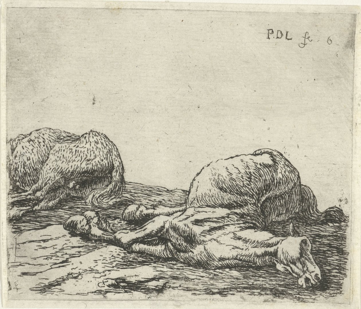 Två döda hästar Hästar (serietitel) av Pieter Bodding van Laer