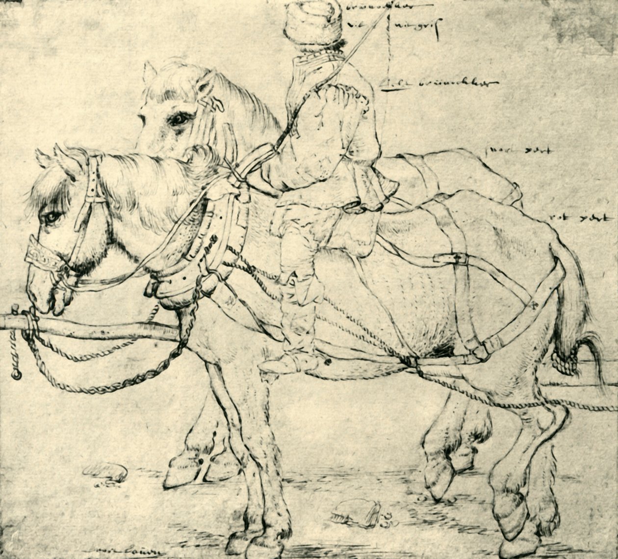 Ryttare och två hästar, 1559-1563, 1943. av Pieter Bruegel the Elder