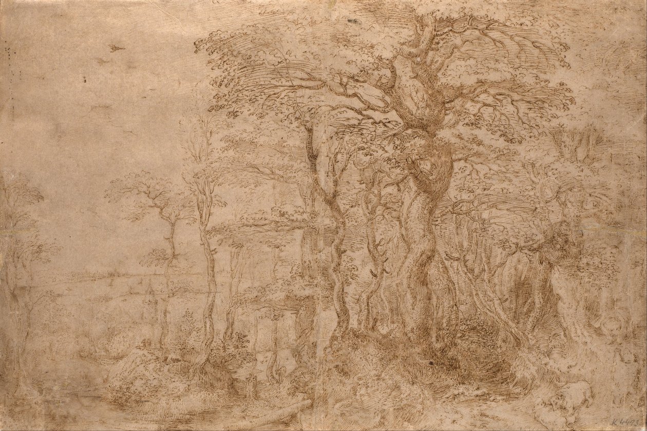 Sylvan landskap med fem björnar av Pieter Bruegel the Elder