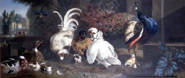 En påfågel, höns, ankor och en kungsfiskare av Pieter Casteels