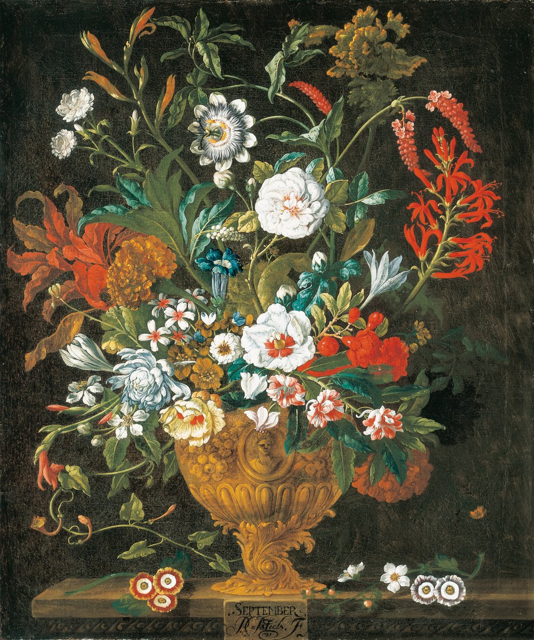 September, från The Twelve Months of Flowers, en blomkalender av stilleben av Pieter Casteels