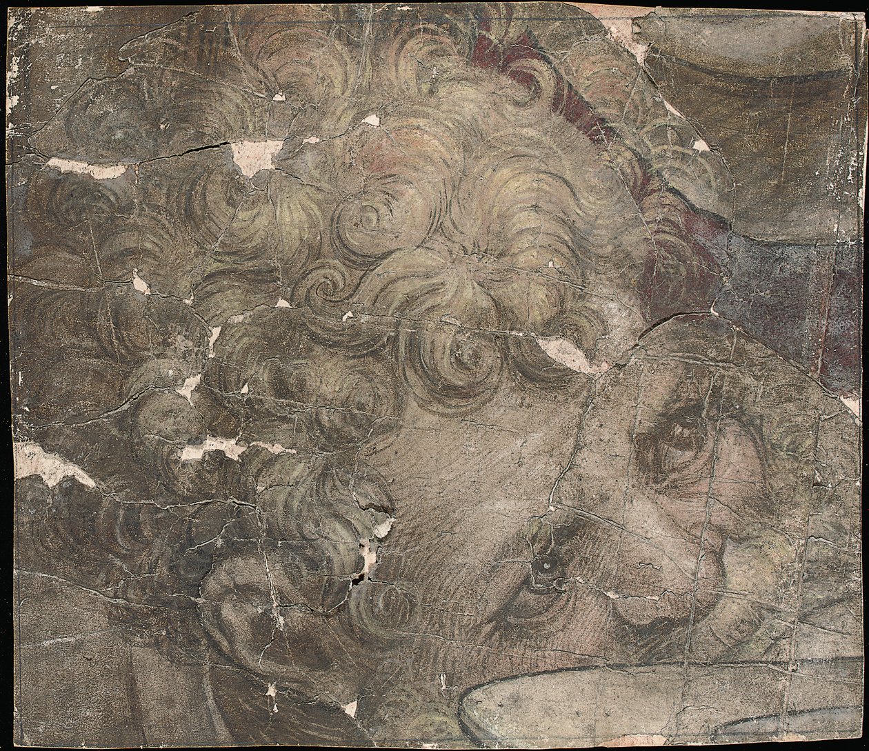 Huvudet på en skäggig man tittar uppåt av Pieter Coecke van Aelst