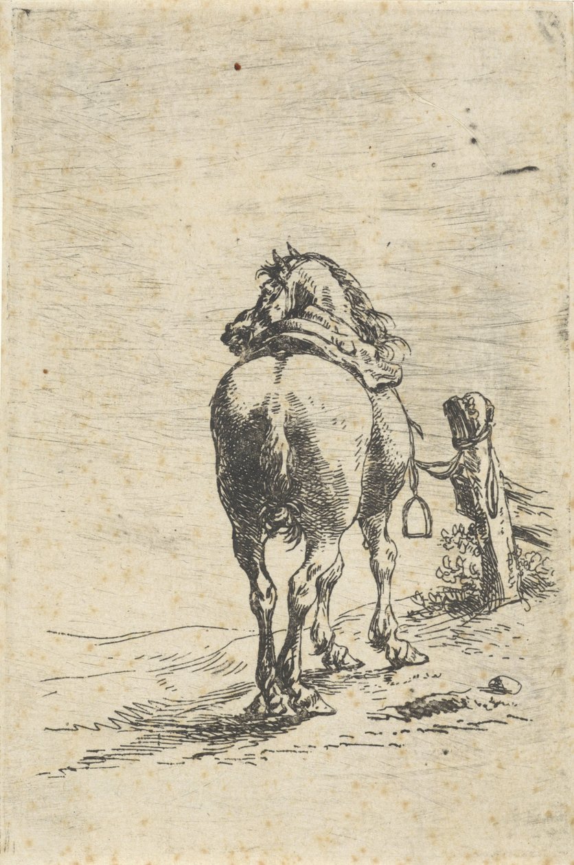Sadlad häst på en stång av Pieter Cornelisz. Verbeeck