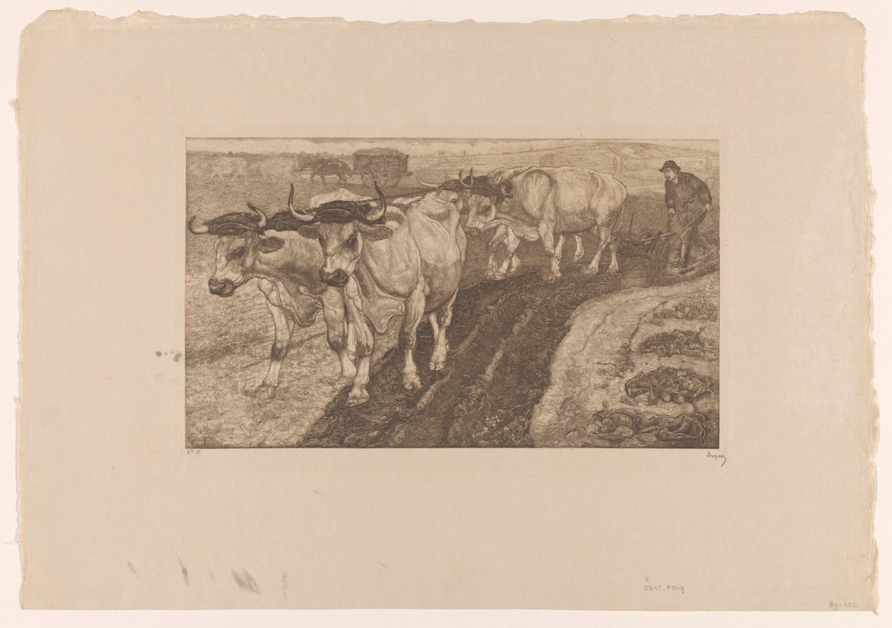 Fyra plöjande oxar av Pieter Dupont (signed by artist)