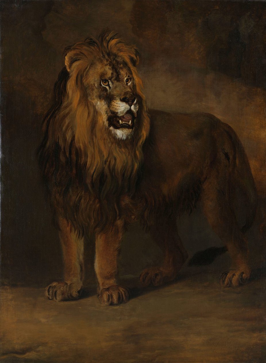 Ett lejon från kung Ludvig Napoleons menageri, 1808 av Pieter Gerardus van Os