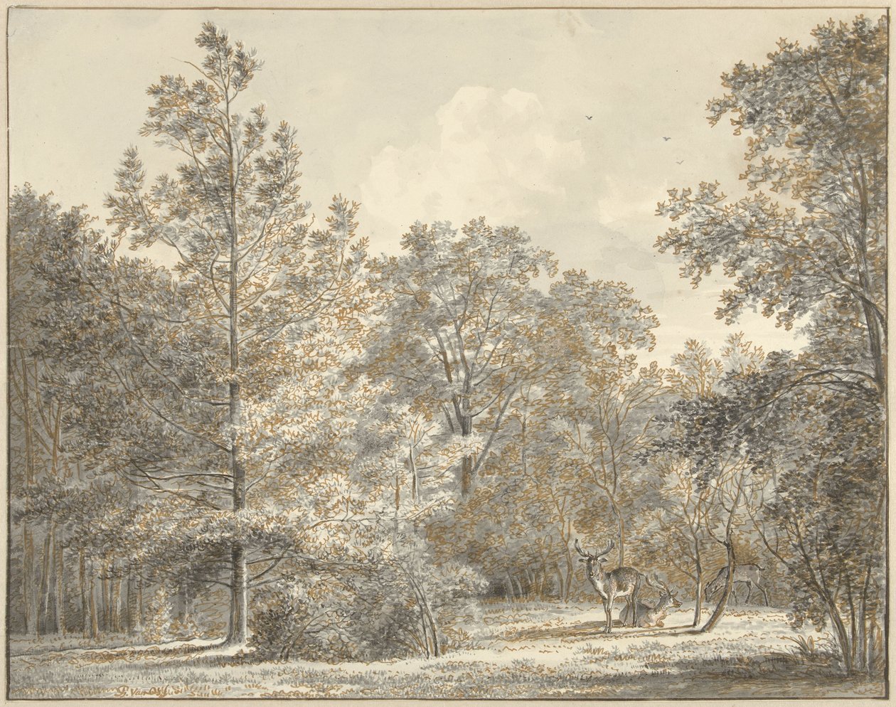 Rådjur i en skog av Pieter Gerardus van Os