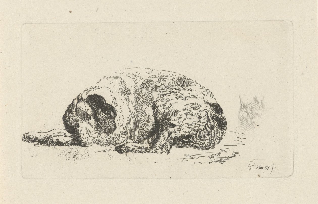Liggande hund av Pieter Gerardus van Os
