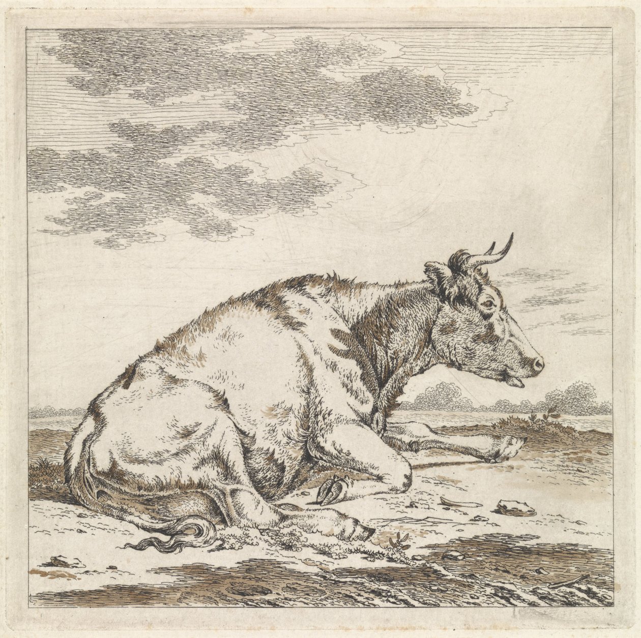 Liggande ko, till höger av Pieter Janson
