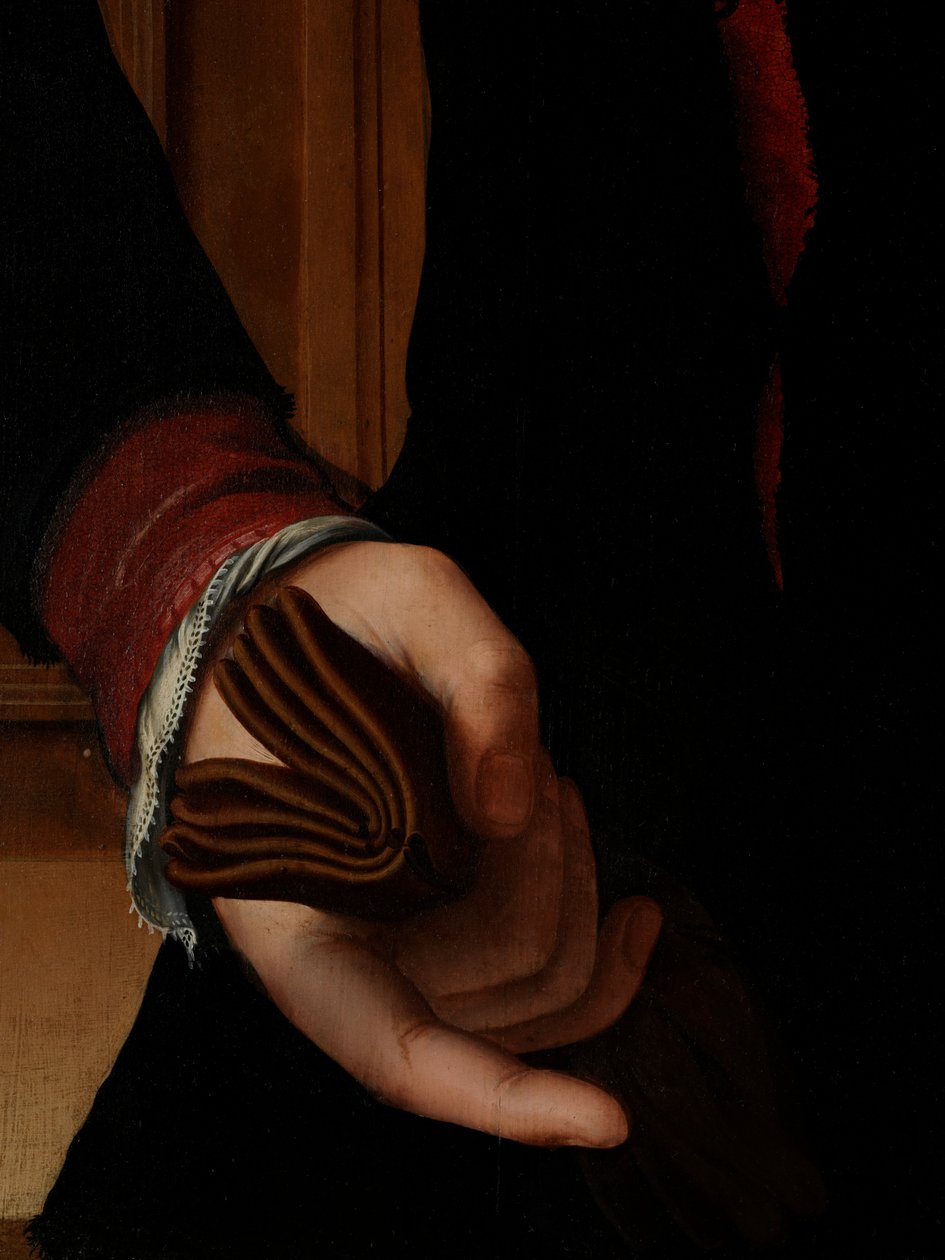 Detalj av porträtt av Jan van Eyewerve av Pieter Jansz. Pourbus