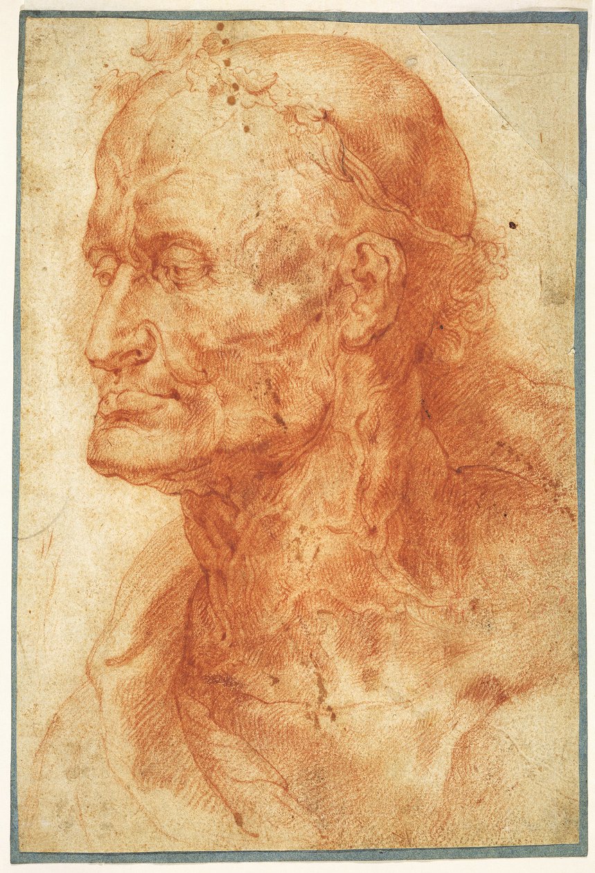 Studie av en gammal mans huvud, ca 1602. av Pieter Paul Rubens