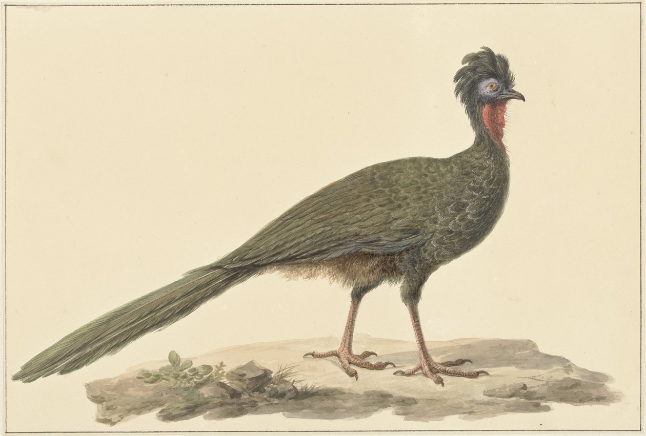 Penelope, på golvet av Pieter Pietersz. Barbiers
