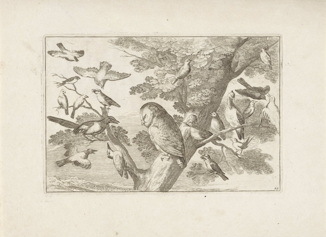Uil en andra birds in boom Olika fåglar (serietitel) De mest perfekta figurerna av olika fåglar (...) (serietitel) av Pieter Schenk (I) (attributed to)