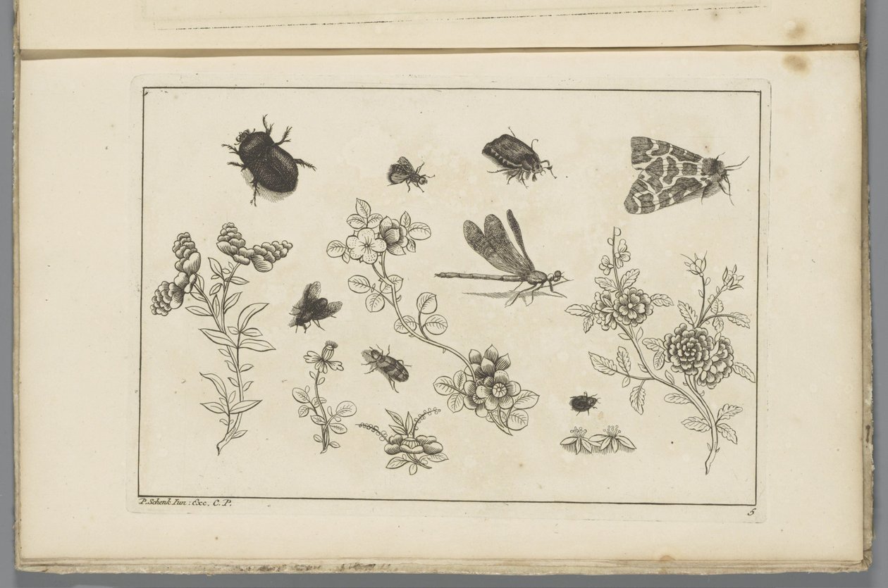 Blomma grenar med insekter Kinesiska blommor och insekter (serietitel) av Pieter Schenk (II)