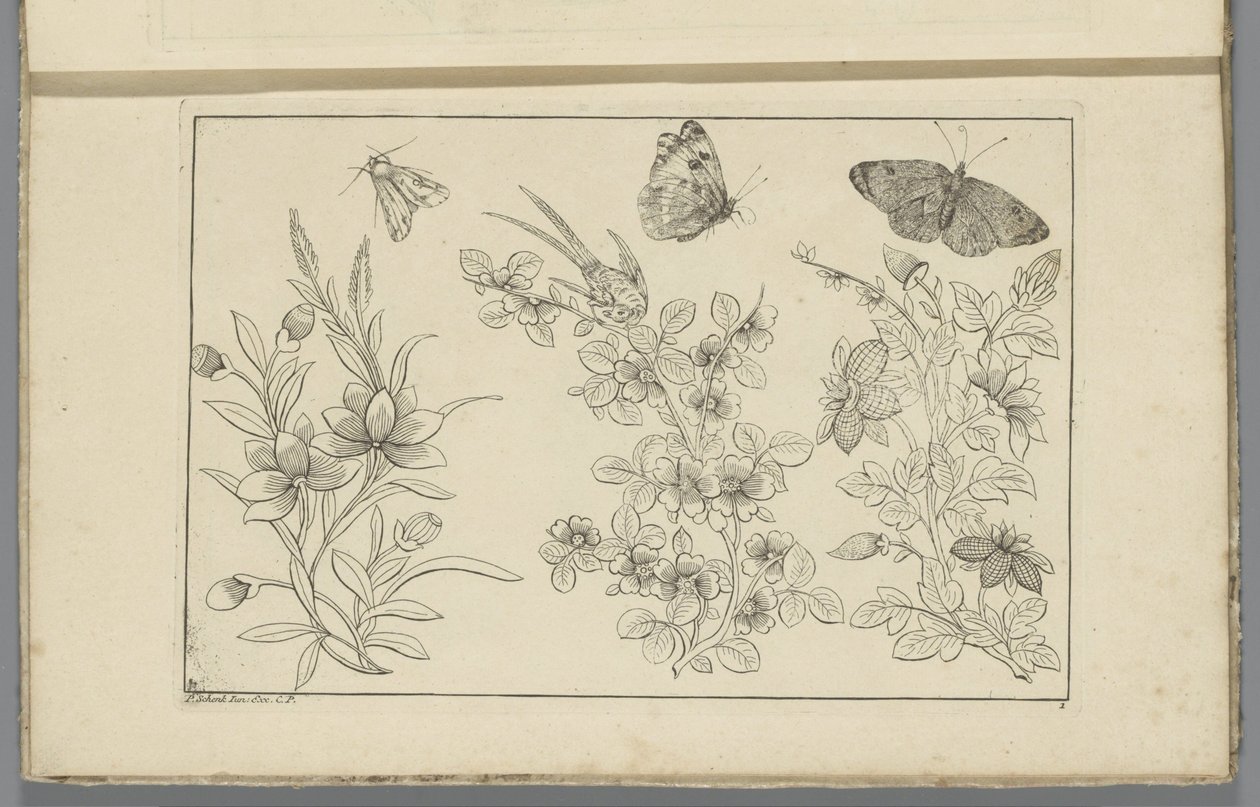 Tre blomgrenar och tre fjärilar Kinesiska blommor och insekter (serietitel) av Pieter Schenk (II)