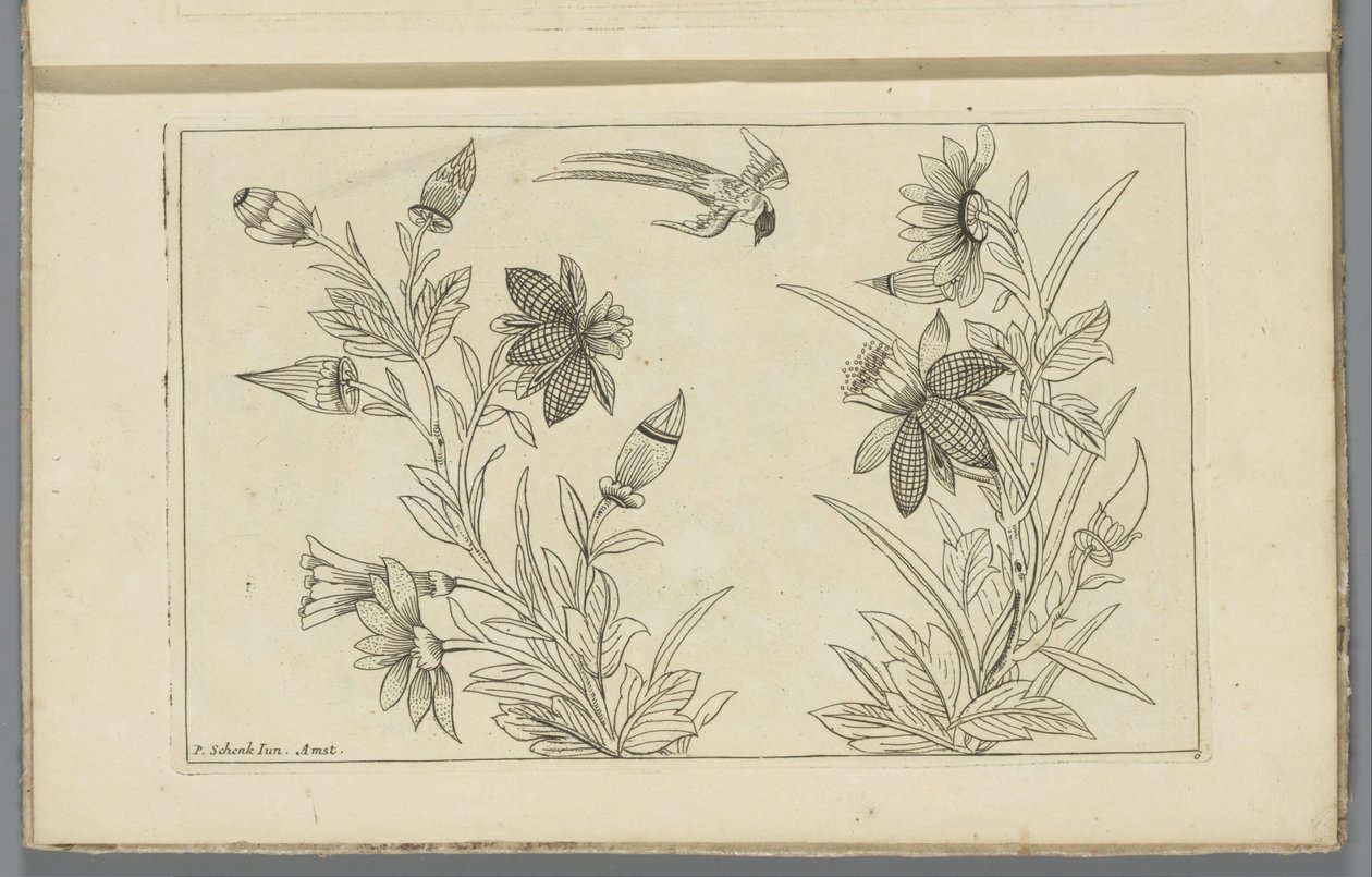Två blomsterbuskar och en svala Kinesiska blommor och fåglar (serietitel) av Pieter Schenk (II)