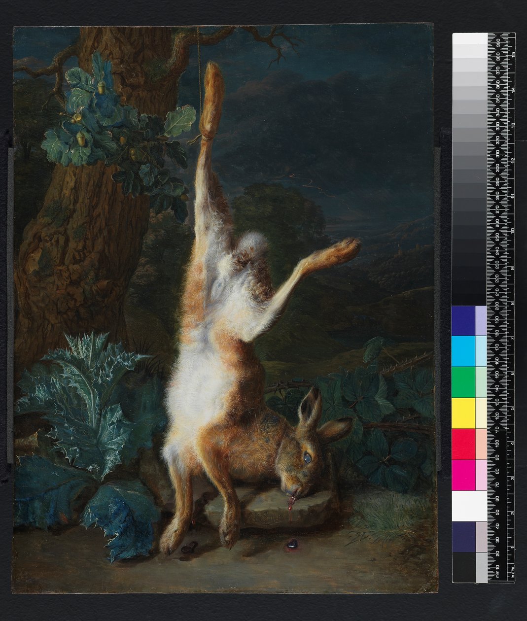 En död hare, före 1782 av Pieter Snyers