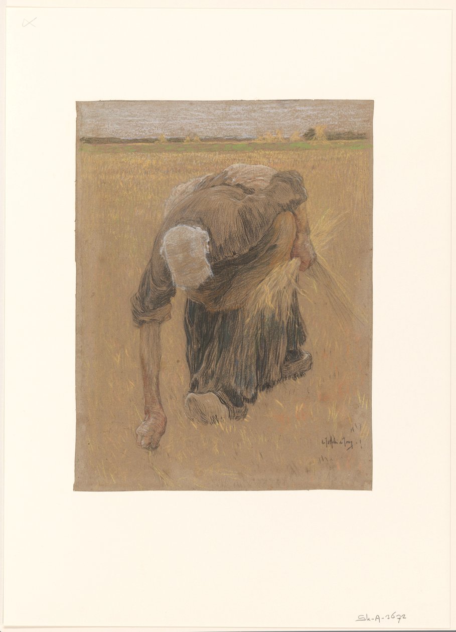 plockande kvinna av Pieter de Josselin