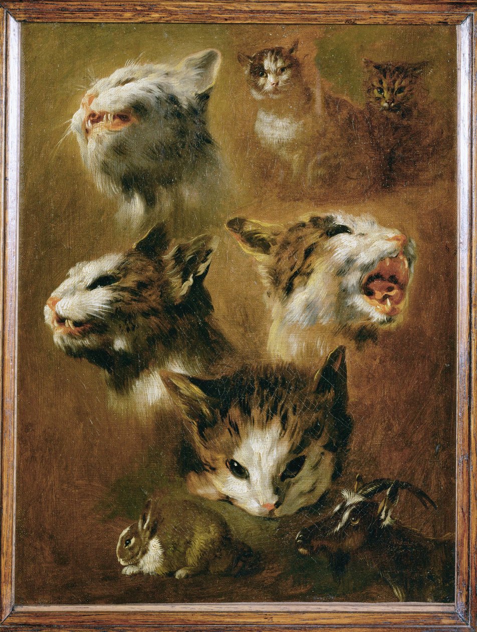 Huvud av en katt, en kanin, en get (målning på duk) av Pieter or Peter Boel