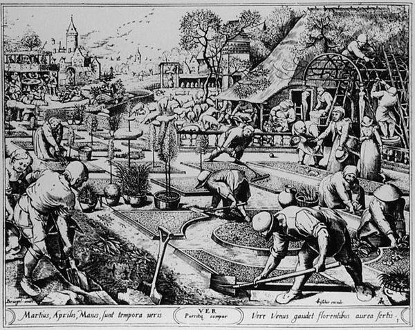 Fjäder, graverad av Visscher av Pieter the Elder (after) Bruegel