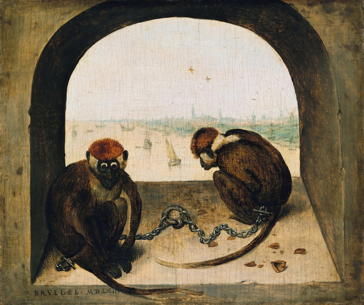 Två kedjade apor av Pieter Bruegel the Elder