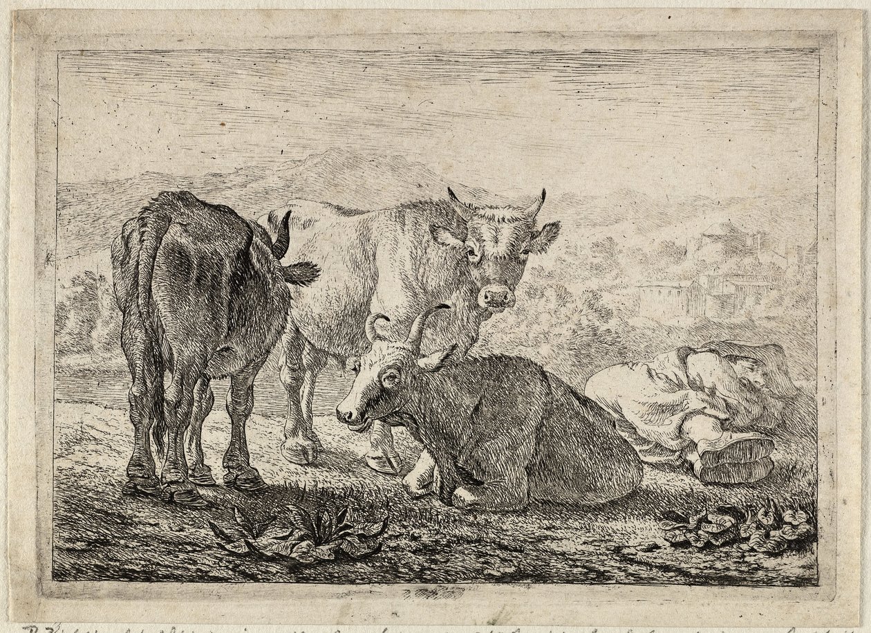 Tyska: Drei Rinder und ein schlafender Hirte
Franska: Les boeufs
Tre nötkreatur och en sovande herde av Pieter van Laer