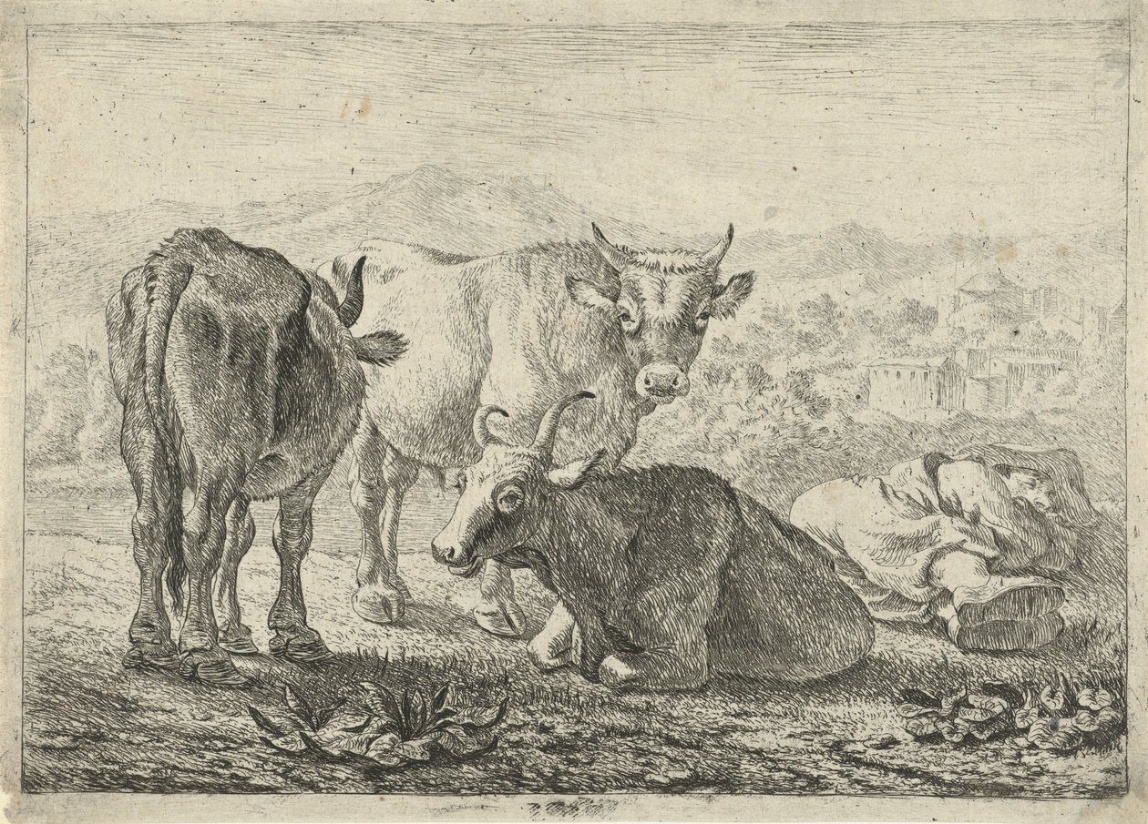 Tyska: Drei Rinder und ein schlafender Hirte
Franska: Les boeufs
Tre nötkreatur och en sovande herde av Pieter van Laer